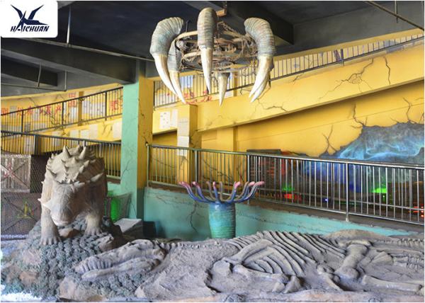 Quality Indoor Museum Life Size Dinosaur Replicas , Sunproof Dinosaur Skeleton Replica for sale