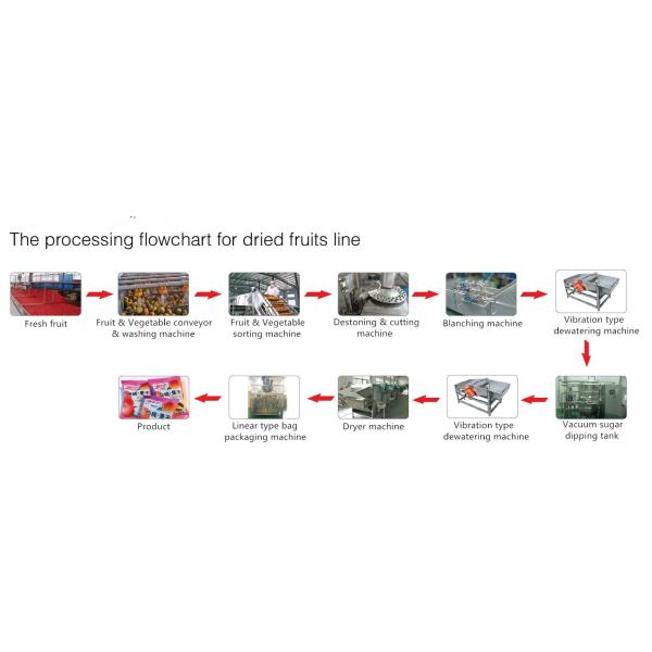 Advanced Dried Mango Processing Machine / Commercial Mango Drying Machine