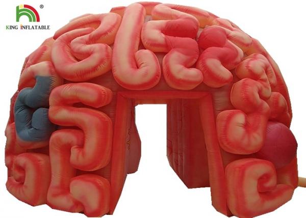 Quality Giant 4m  Inflatable Brain Replica Artificial Organs For Educational SGS EN71 for sale