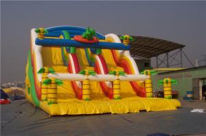 China Dinosaur Kids Blow Up Water Slide Obstacle Course , Huge Blow Up Water Slide For Pool on sale