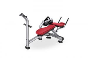 Wholesale Commercial Gym Rack And Bench , Body Building Abdominal Crunch Machines from china suppliers
