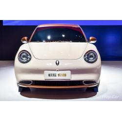 China 150km/h ECO Friendly Electric Vehicles 400KM ORA Good Cat Pure Electric Cars for sale
