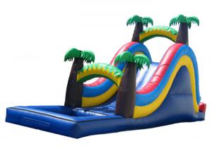 Wholesale Blue  Inflatable Large Water Slide For Kids Coconut Tree Type from china suppliers