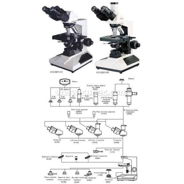 Binocular Head Plan Achromatic Objective Biological Compound Microscope 1000X A12.0201