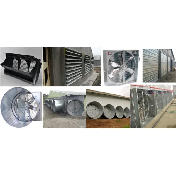 Light Column Construction Poultry House with Low Price Steel Structures
