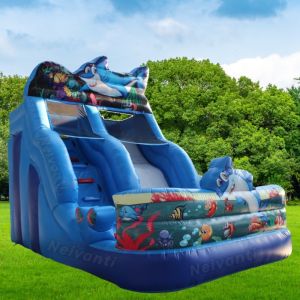 Custom Logo Printed Inflatable Double Slide for Kids and Bouncer in 2024 Latest