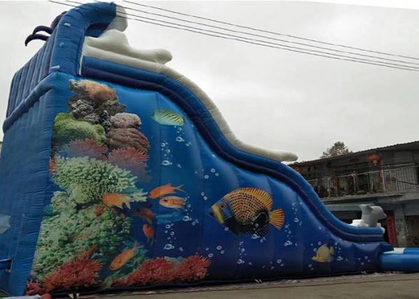 Sea Fish Commercial Inflatable Water Slides Customized Size With Pool