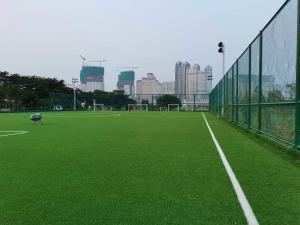 China Professional Football Artificial Grass Sports Flooring For Soccer on sale