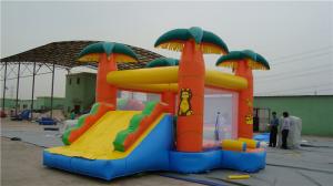 Wholesale Backyard Water Slide Bounce House , Popular Inflatable Castle Bounce House from china suppliers