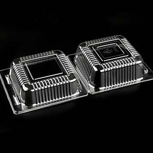 5 Disposable Clamshell Take Out Containers