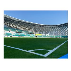 Synthetic Soccer Green Artificial Grass Floor Environmental Friendly