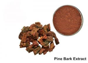 China Anti Aging OPC Pine Bark Extract Powder For Cosmetics on sale