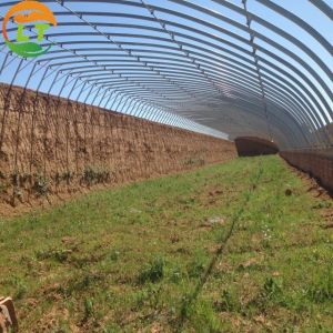 Double Layer Assembly Solar Greenhouse for Vegetable Flower and Tomato