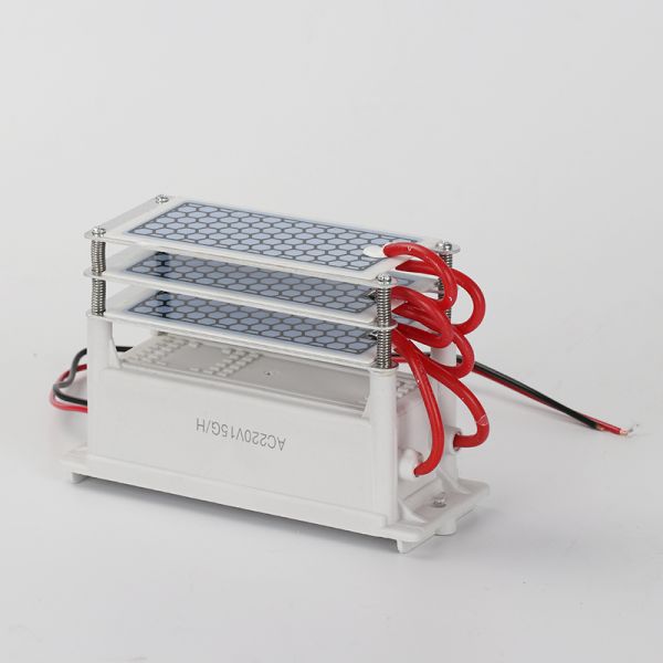 DIY Portable Ozone Generator 15G AC220V