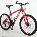 29 inch Velo Cycle MTB Bicycle Steel Frame 24 Speed Customizable Mountain Bike