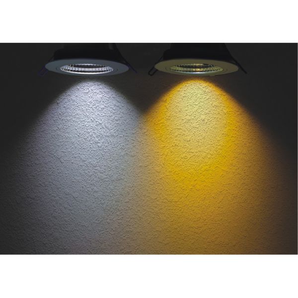 40W COB LED Downlight