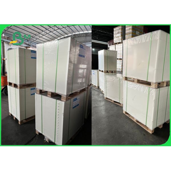 Super Bulk White Food Container Cardboard Coated One Side 215gsm
