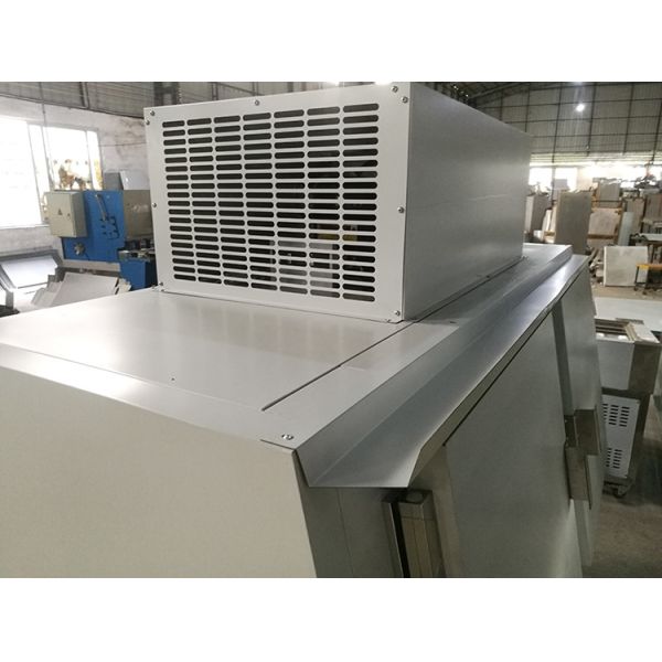 Custom Cold Storage Bagged Deep Ice Cube Freezer