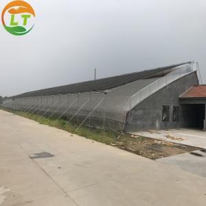Wholesale Film Agricultural Solar Greenhouses Maximize Your Vegetable Fruits and Flowers Growth from china suppliers