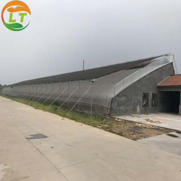 Chinese Style Metal Frame Solar Prefab Tomato Greenhouse for Outdoors and