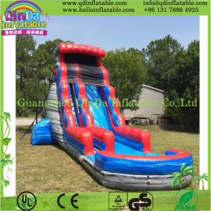 China Durable Inflatable Slide with Pool, Water Slide Park, Giant Hippo Slide for Water Park on sale