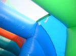 Commercial Grade Inflatable Pool Slide with Palm Trees