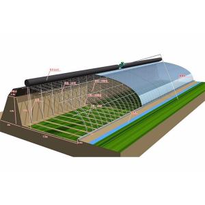 High Strength Solar Agricultural Greenhouses with Easy Assembly and Greenhouse