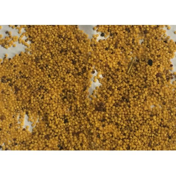 630 Channels Large Capacity Yellow Rice Full Color Camera Color Sorter