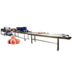 China Automatic Food Drying Machine Industrial Bubble Cleaning Equipment for sale