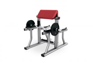 China Small Gym Rack And Bench Home Workout Fitness Biceps Arm Curl Equipment on sale