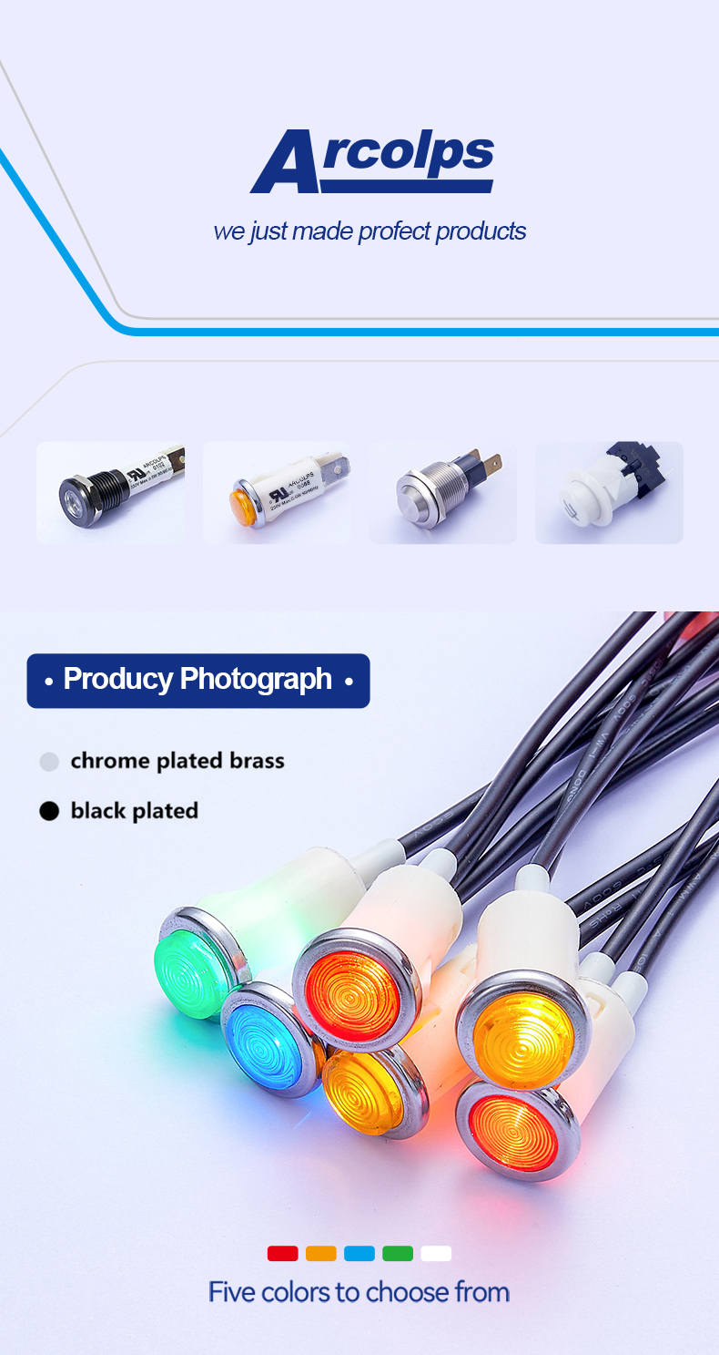 5 Color Neon Pilot Light Panel Mount Led Indicator 2V-250V AC DC