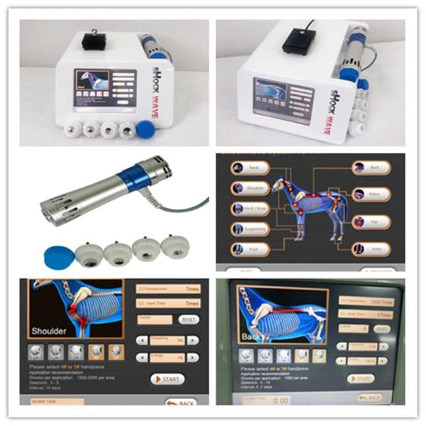 16Hz Veterinary Laser Shockwave Therapy Machine