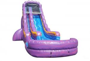 Wholesale Home Big Party Kids Inflatable Water Slide Blue Purple Outdoor Playground Slide from china suppliers