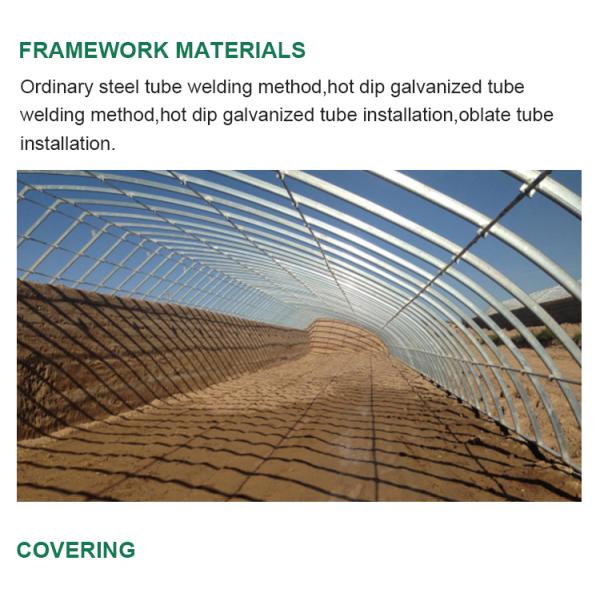 High Strength Solar Agricultural Greenhouses with Easy Assembly and Greenhouse Benches