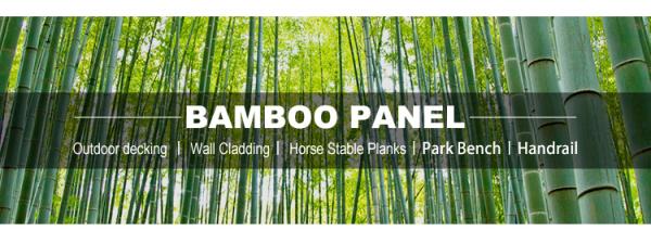 Formaldehyde Free Decorative Wood Panels , Natural Bamboo Wood Sheets