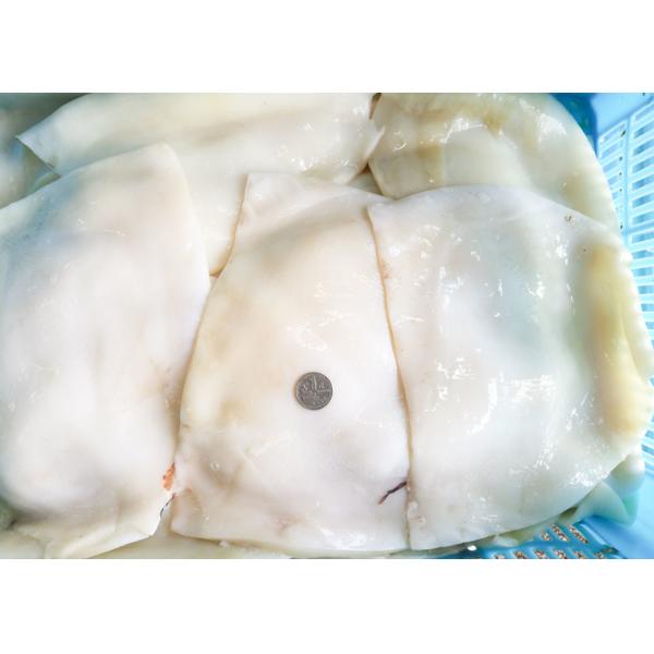 Equator suqid fillet, frozen giant squid fillet 1000g 2000g Size