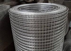 Wholesale Electro Galvanized Welded Wire Mesh Spot Welding For Agricultural Fence Panel from china suppliers