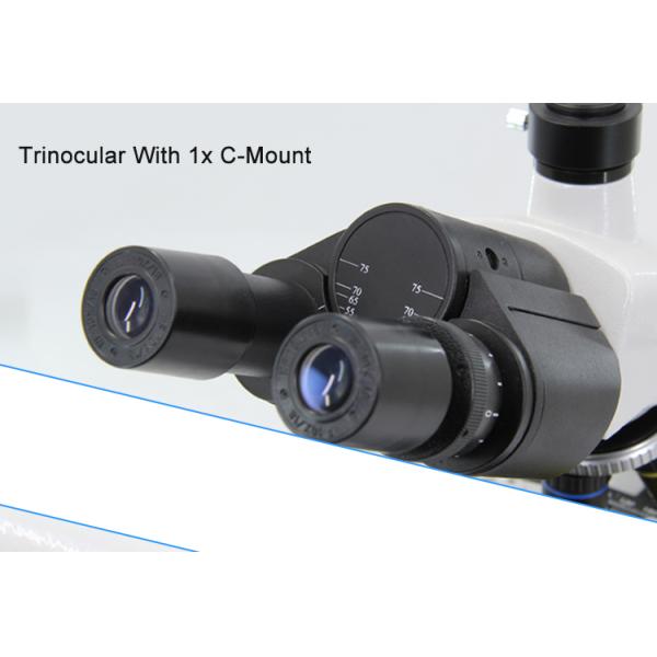 Beginner Level 1000x LED Compound Trinocular Microscope