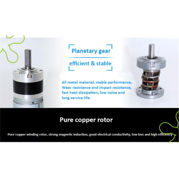 53rpm 24V Planetary Miniature Dc Gear Motor Bi Directional Adjustable Speed