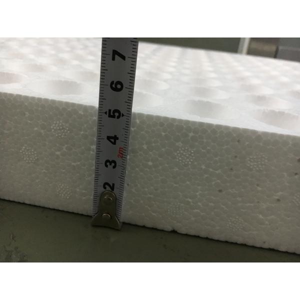 Floating EPS Foam Seedling Tray 160 Cells Germination Tray