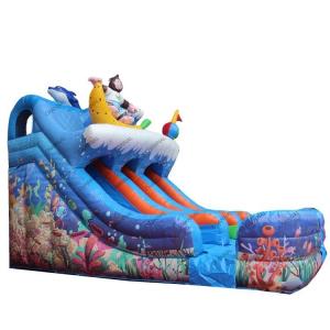 Wholesale Backyard Inflatable Water Slides Double Lane Water Slide With Swimming Pool from china suppliers