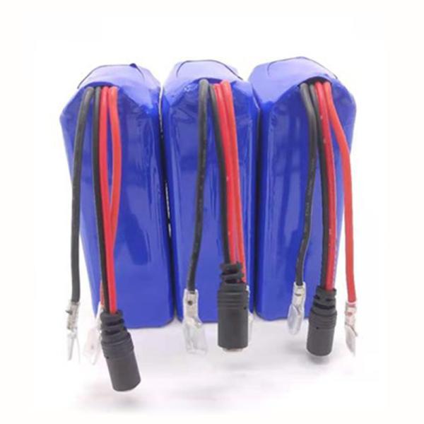 Rechargeable RC Lithium Ion Battery 6000mAh Compatible Solar Energy