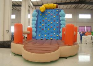 Wholesale Inflatable Climbing Wall And Slide 5 X 3.8 X 4.5m , Big Blow Up Rock Climbing Wall from china suppliers
