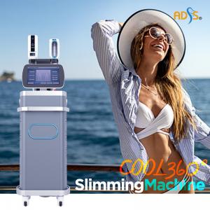 China Cryo Fat Therapy Body Freezer Cryolipolysis Fat Freeze Slimming Machine on sale