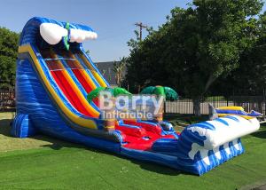 Wholesale Giant Inflatable Water Slides For Adult , Commercial 24′ Shark Sighted Dual Lane Slide , from china suppliers
