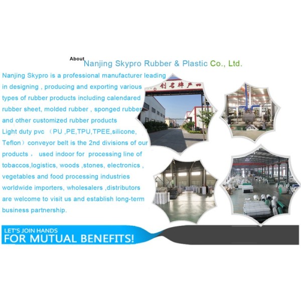 Fireproof Lightweight Corrosion Resistant Honeycomb Sandwich Panel Holycore Panel for Outdoor Use