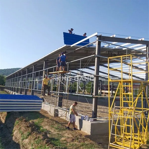 Industrial Steel Structure Pre-Engineered Construction Building For Warehouse Workshop