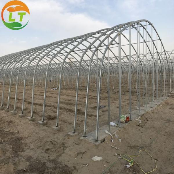 Galvanized Skeleton Cover Film for Agricultural Product in Shouguang Easy to Install