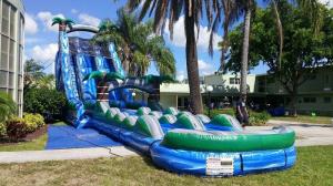 Wholesale Blue Jungle Theme Large Double Lane Water Slide With Big Pool from china suppliers