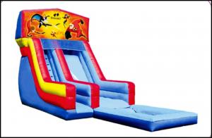 Inflatable Bounce PVC Material Cheap Giant Kids Fun Inflatable Bounce House Inflatable Slide